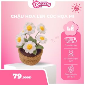 Chậu hoa len cúc trắng