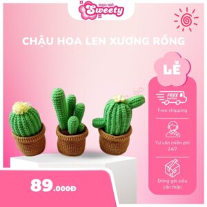 Chậu hoa len xương rồng